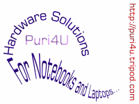 Rajiv Puri's Website
